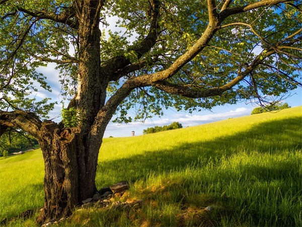 三月祝福语简短42句