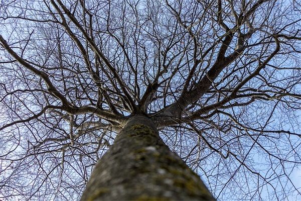 圣诞给朋友的祝福语
