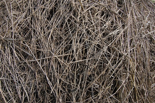 老公生日祝福语抖音(抖音上祝老公生日快乐的说说)