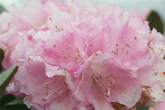 英语初中好句大全