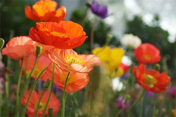 伤感好句大全唯美