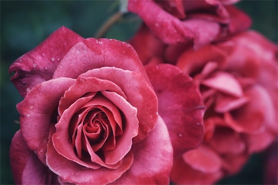 进步的好句好段最新大全