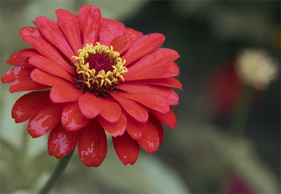 表示道歉的句子