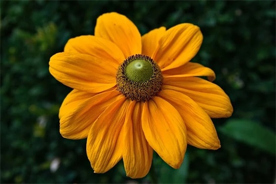 形容心情失落的句子 形容心情极度失落的句子