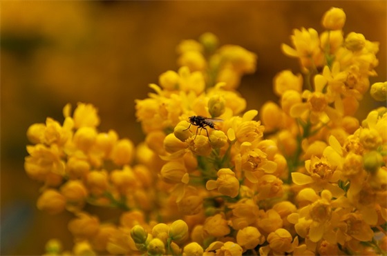 可以用来开玩笑的幽默句子(适合发文案幽默的句子)