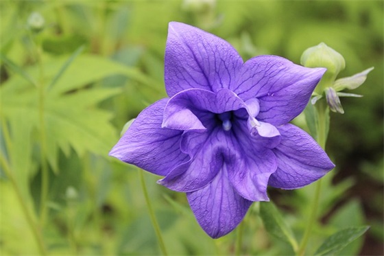 2026年感觉很孤独一个人很累的句子