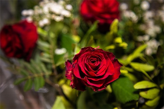 关于心情开心的句子88句