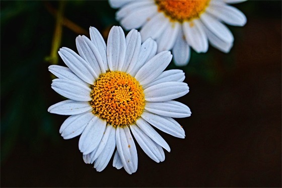 适合雨天发的简短句子(适合下雨天发的简短句子)