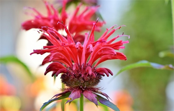 2026年新的一年励志句子