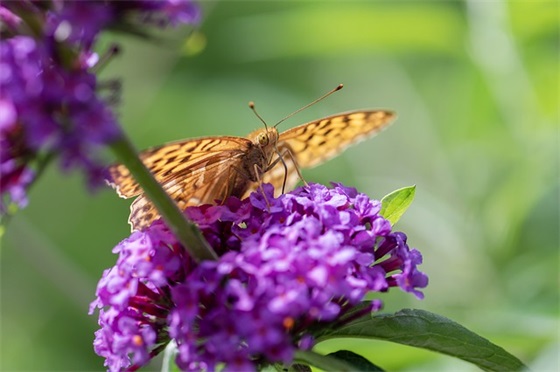 感谢人的简短句子 感谢的话语暖心简短