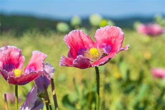 高考励志的句子80句