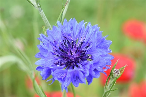 有关心碎的句子 心碎的句子