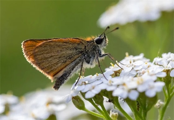 看淡感情人生的句子