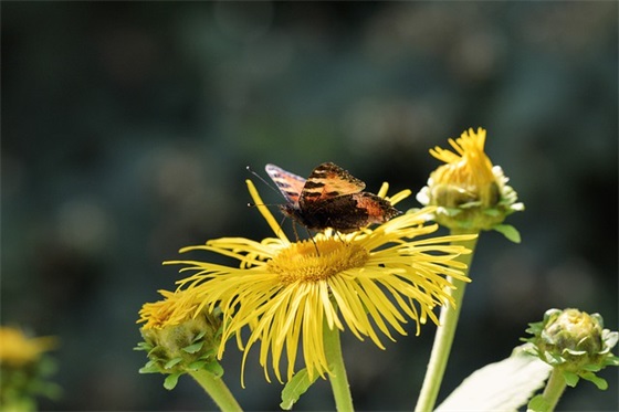 一句最能打动人的话 最触动人心的句子