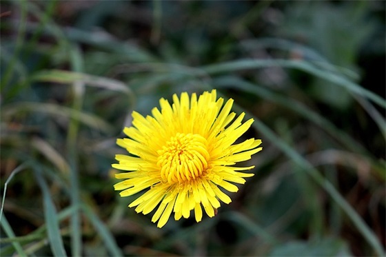 周五愉快的句子 周一工作愉快的句子