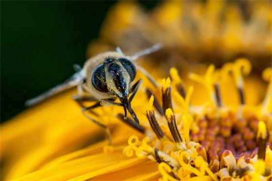 最新令人惊艳的舔狗句子(终极版舔狗专用文案简短)