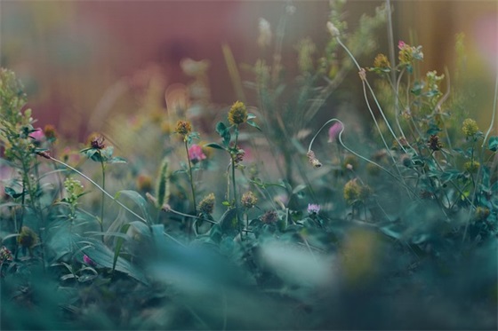 痛彻心扉的句子