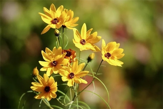 古文伤感凄美的句子79句