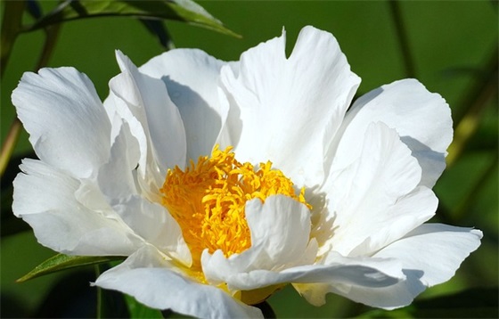 中秋祝爱人的祝福语 中秋节给爱人的祝福语