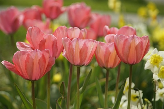 婚礼祝福语四字成语数字版