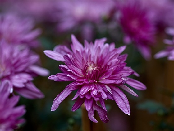 给朋友结婚的祝福语 送给朋友结婚的祝福语