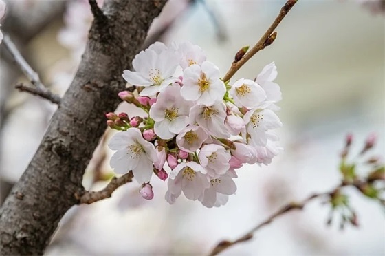 中秋佳节的浪漫祝福语