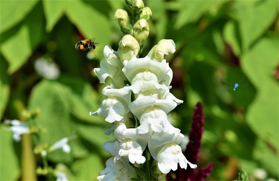 自己生日祝福语简短独特60句
