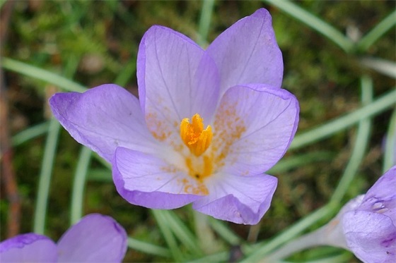 给弟弟结婚祝福语 恭喜弟弟结婚祝福语