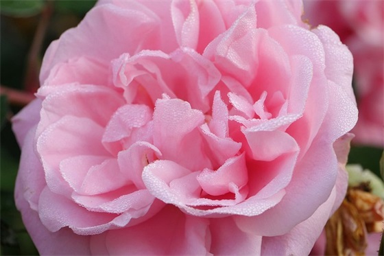 男友生日祝福语俏皮话 男友生日祝福语长篇