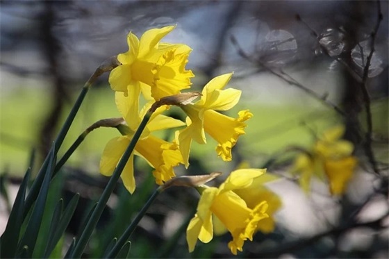 百天宝宝的祝福语有哪些