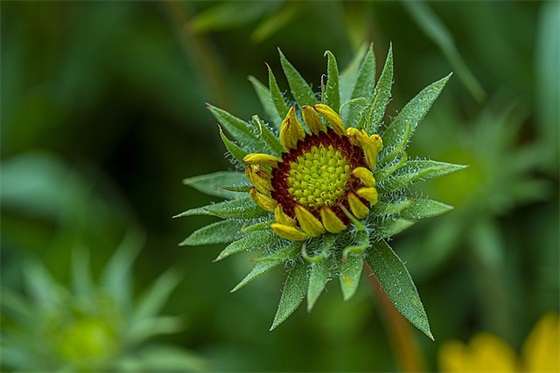 儿子生日祝福语简短56句
