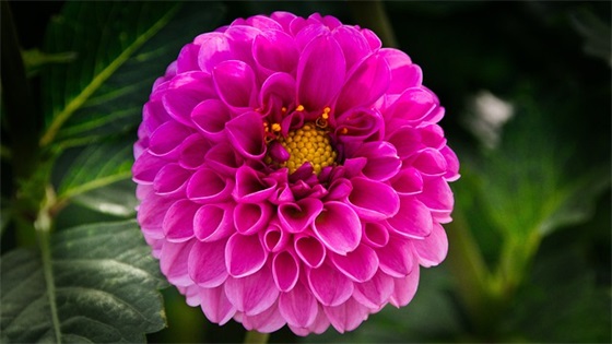 给长辈的祝福语简短51句