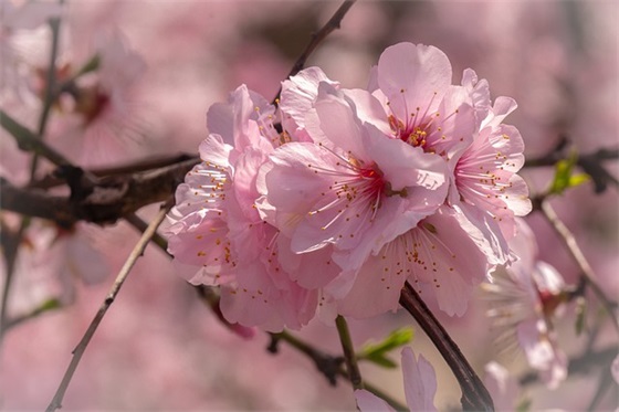 朋友外出工作祝福语 朋友外出工作祝福语短句