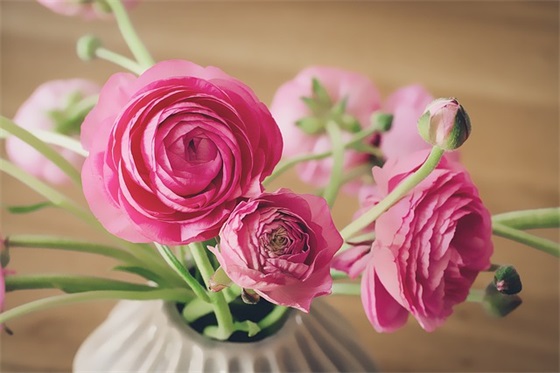 十岁男孩生日祝福语 宝宝十周岁生日祝福语