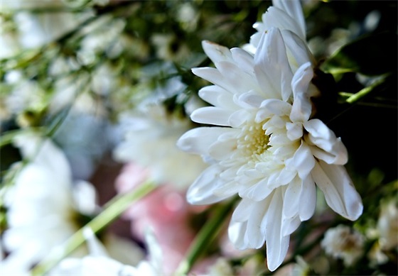 爱人过生日的祝福语 爱人生日祝福文案