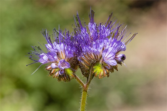2026年适合新年祝福的文案