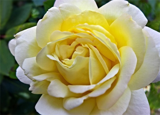 顺利通过考试的祝福语 祝考试顺利的一句话