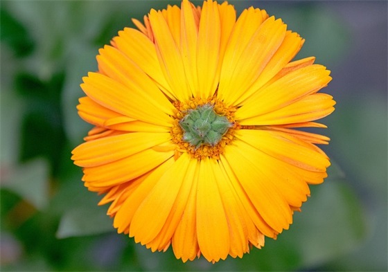 祝福语生意语 祝福做生意的话