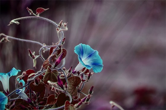 2026年祝福语大全四字成语(虎年祝福语四字成语大全)