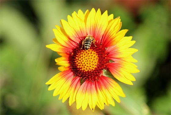 内心孤独无助的伤感句子