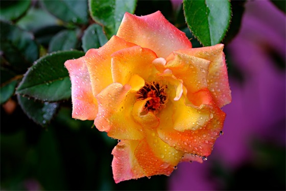 2026励志金句 有冲劲的正能量句子