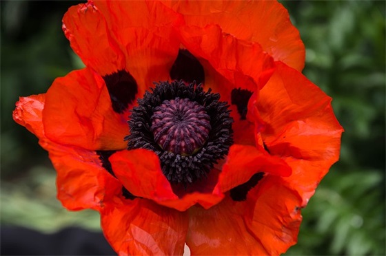 面对春天鼓励自己的话 春天励志的句子有哪些