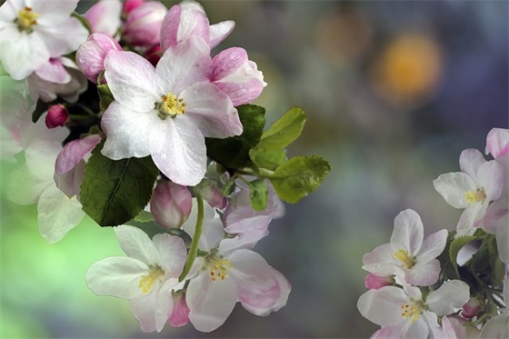 祝女孩儿生日快乐的句子