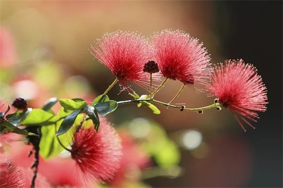 讽刺人知错不改的句子 形容一个人不思悔改的句子