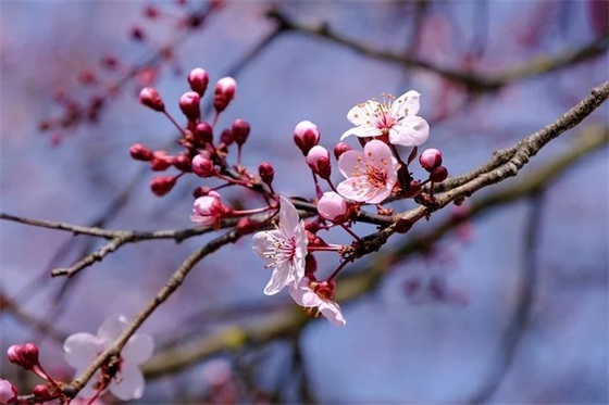 空间关于爱情的文艺好听句子