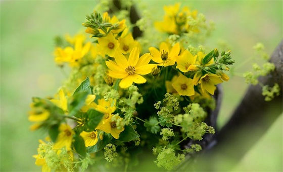 对美女表白爱意的文艺句子