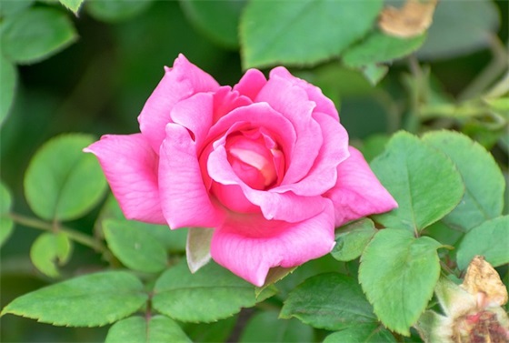 四月再见五月你好文艺句子