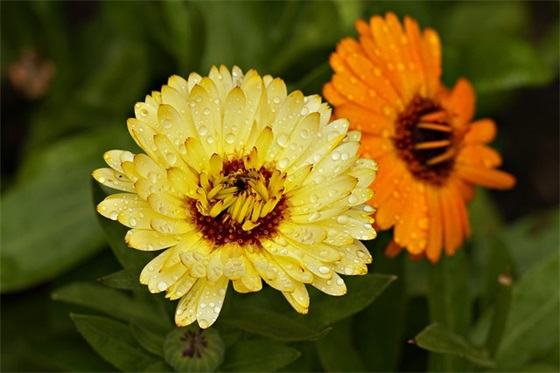 出远门工作的心情句子