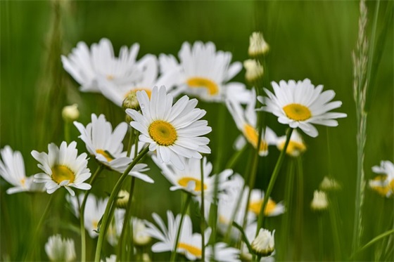抖音最火的高考励志短句(抖音上最火的心酸句子)