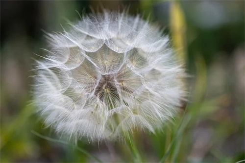 描写腊八粥的句子